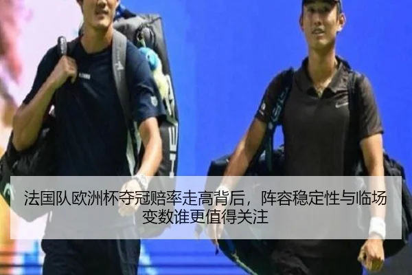 法国队欧洲杯夺冠赔率走高背后，阵容稳定性与临场变数谁更值得关注